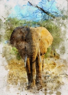 Watercolour Elephant