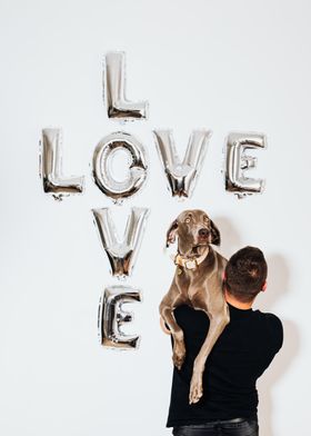 Love your pet