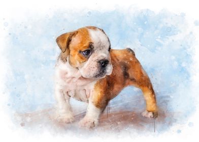 English Bulldog puppy art