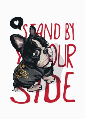 stand by your  dog