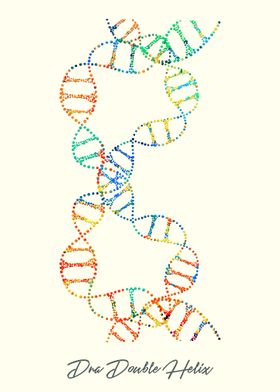 Dna Double Helix