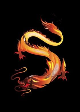 Dragon Fire Dragon Fantasy