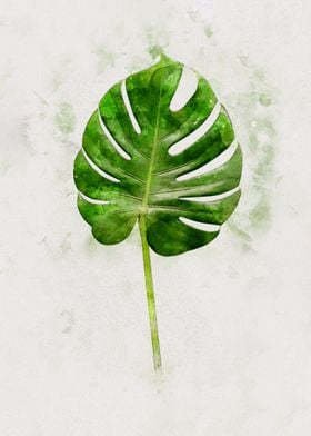 Watercolour Banana leaf