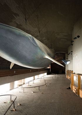 Abandoned whale museum