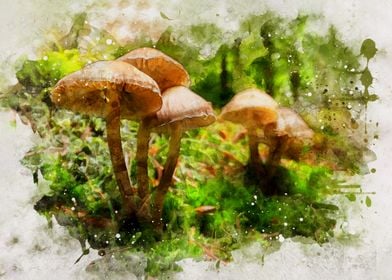 Watercolor Mushroom