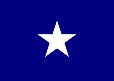 Bonnie Blue Flag