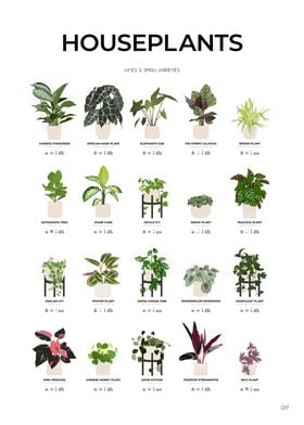 Houseplants Chart