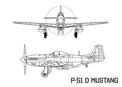 P 51 Mustang WW2 Warbird
