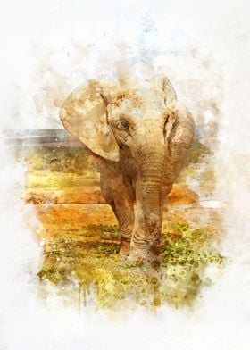 Watercolor Elephant