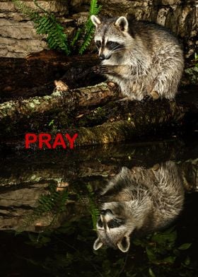 Pray