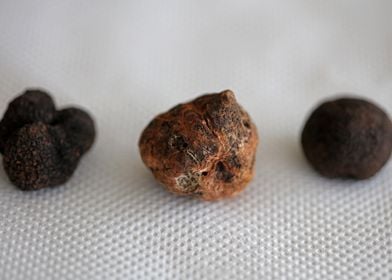 White and black truffles