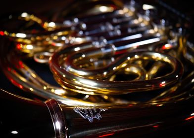 French Horn Constrast