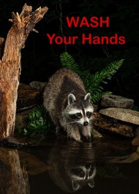 Wash Your Hands 