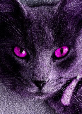 LIGHT PURPLE CAT