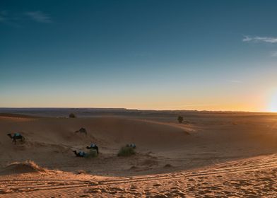 great desert