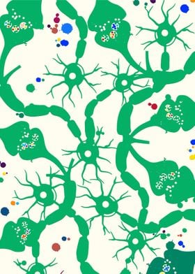 Neurons and Synapse