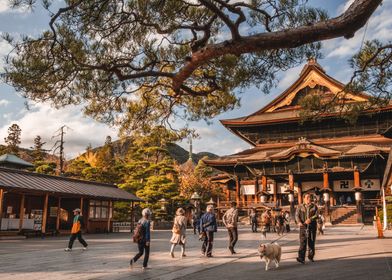 Temple in Nagano Japan