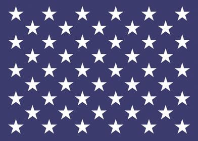 Naval Jack of the US