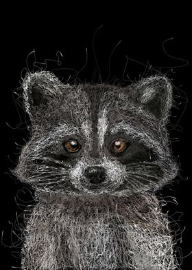 Scribble Racoons