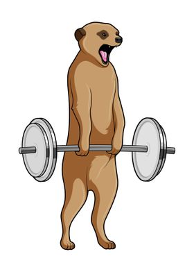 Meerkat Bodybuilding Sport