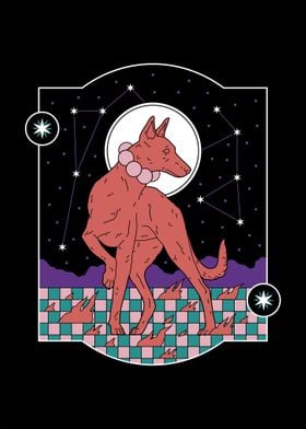 Constellations dog