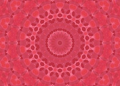 Rose pink Kaleidoscope 4