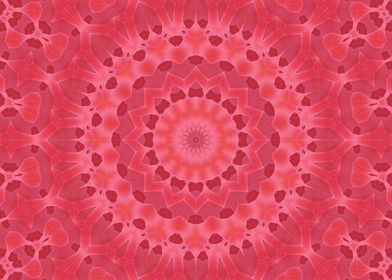 Rose pink Kaleidoscope 3