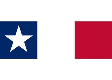 Texas Dodson Flag