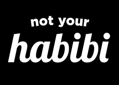 Not Your Habibi