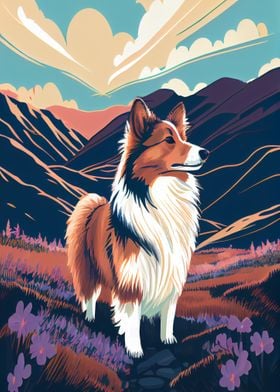 Shetland Sheepdog Nature S