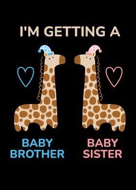 Getting Baby Giraffe