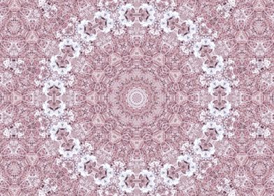 Lilac Kaleidoscope 2