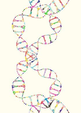 Dna double helix genetics 