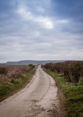 Long Road Into Blue Sky