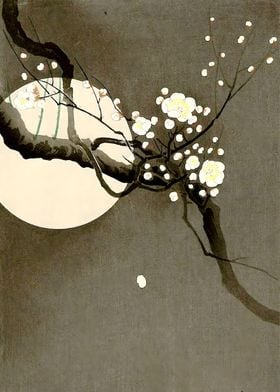 Ukiyo e Plum Blossom Moon