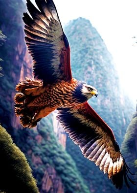 Eagle