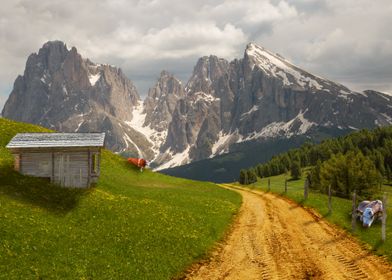 THE ROAD TO THE MOUNTAIN