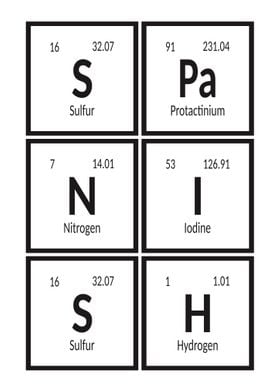 Elements of Spanish 