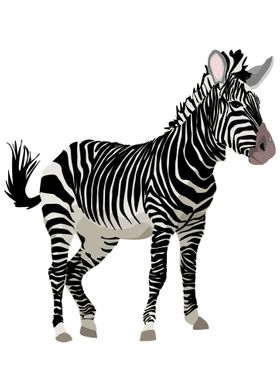 Funny Zebra Animal