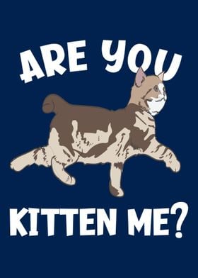 Are You Kitten Me Cat Love