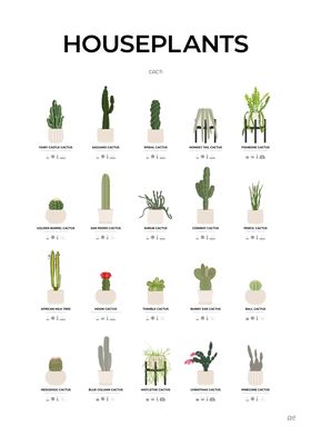 Cacti Houseplants Chart