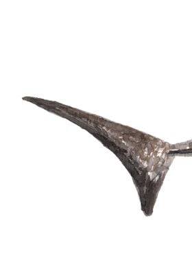 Whale shark tail piece 1