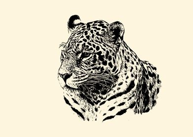 Jaguar portrait