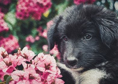 Cute puppy