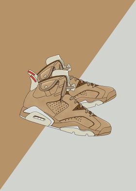 jordan6 cactus