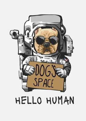 Dog in astronaut