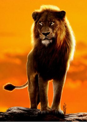 lion king animal 