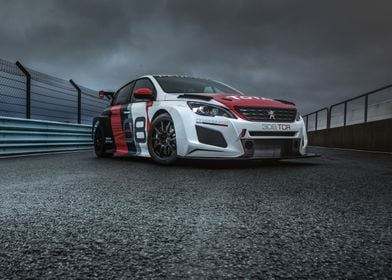 Peugeot 308 TCR