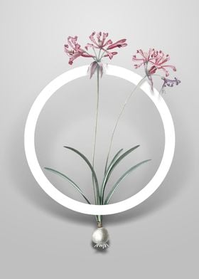 Vintage Nerine Flower Art