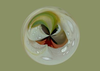 White botanical orb